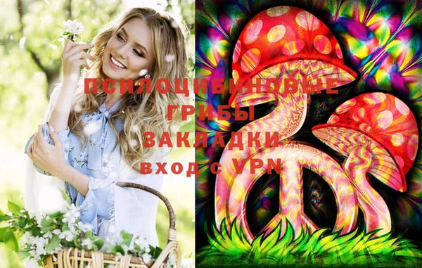 бутират Алексин
