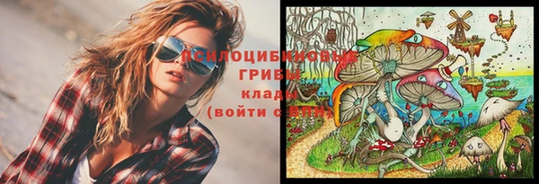 гидра Вязники