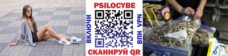 купить наркотик Пенза Галлюциногенные грибы Cubensis